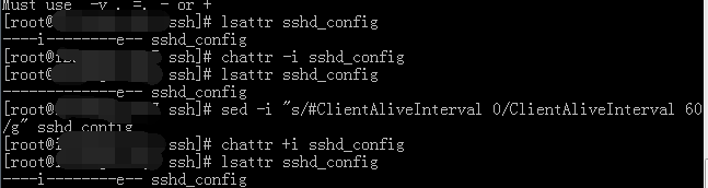 chmod Operation not permitted 解决